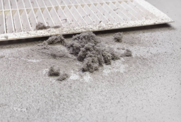 Best Ventilation Cleaning Services  in Rustburg, VA